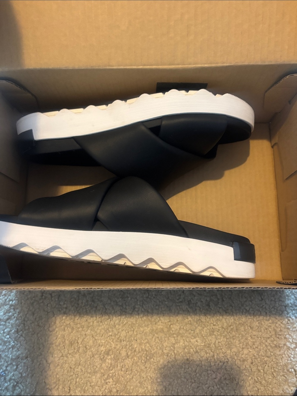 Sorel Black Logo Shoe Box with White Polar Bear